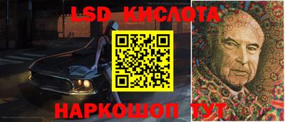 дмт Кингисепп