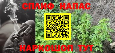 дмт Кингисепп