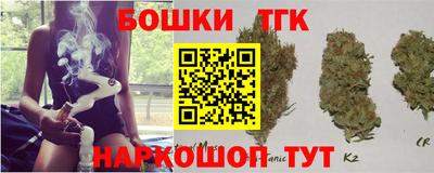 дмт Кингисепп