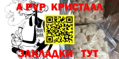 дмт Кингисепп