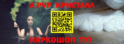 дмт Кингисепп