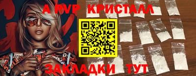 дмт Кингисепп