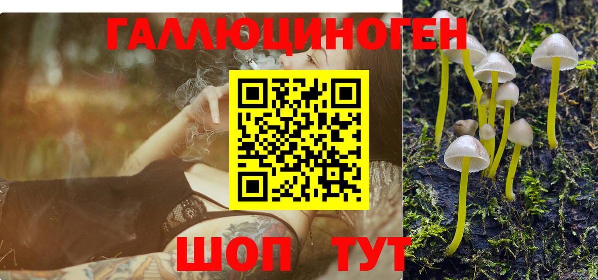 Шебекино  Псилоцибиновые грибы мухоморы  Вход с VPN 