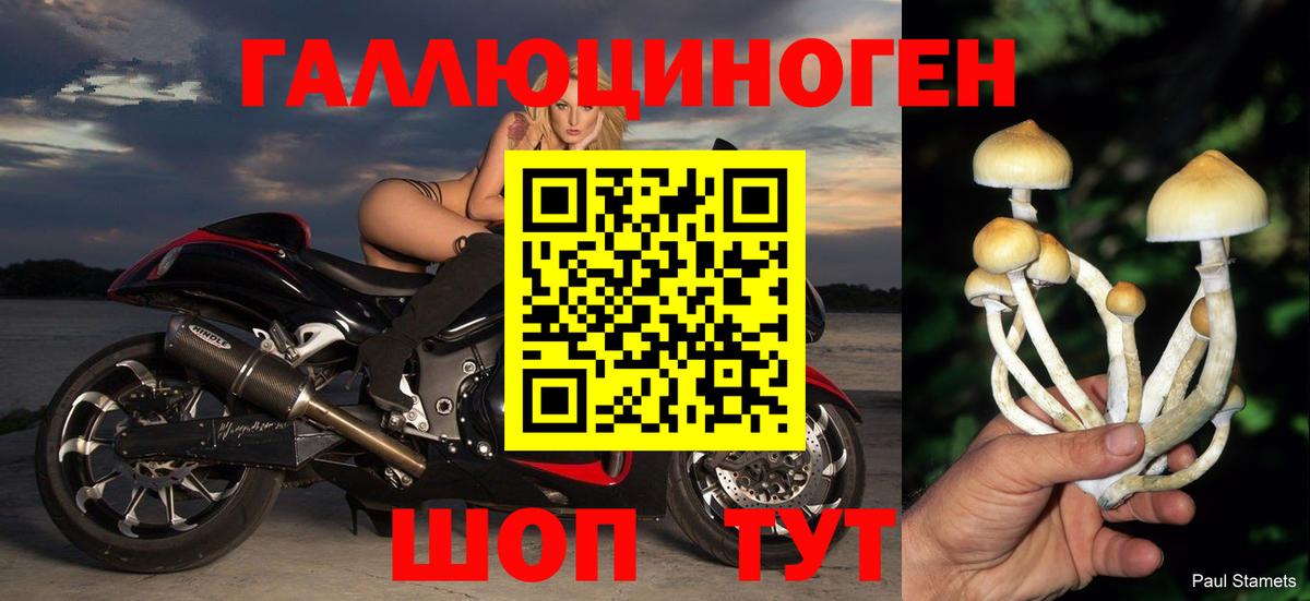 Псилоцибиновые грибы прущие грибы Шебекино